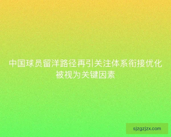 中国球员留洋路径再引关注体系衔接优化被视为关键因素
