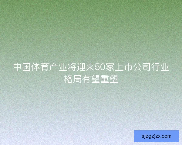 中国体育产业将迎来50家上市公司行业格局有望重塑