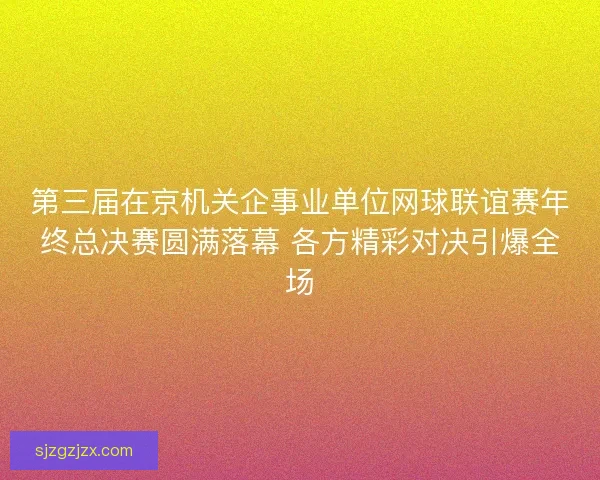 第三届在京机关企事业单位网球联谊赛年终总决赛圆满落幕 各方精彩对决引爆全场