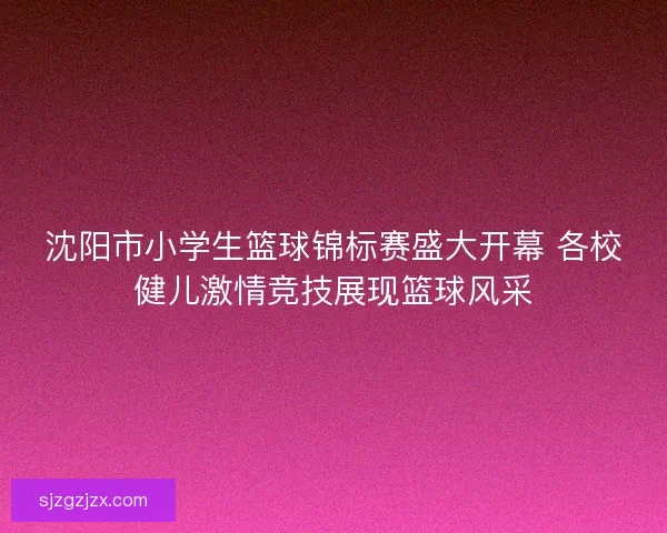 沈阳市小学生篮球锦标赛盛大开幕 各校健儿激情竞技展现篮球风采