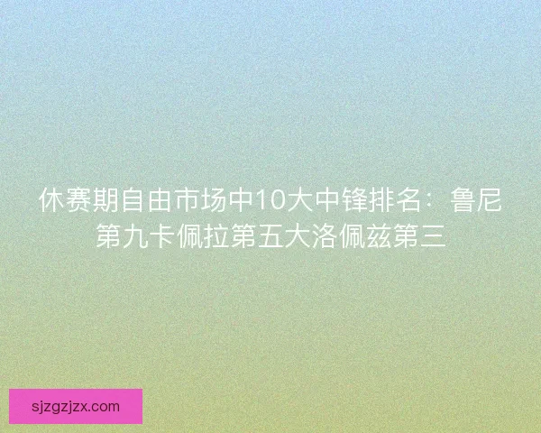 休赛期自由市场中10大中锋排名：鲁尼第九卡佩拉第五大洛佩兹第三